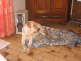 Coco