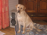 Coco